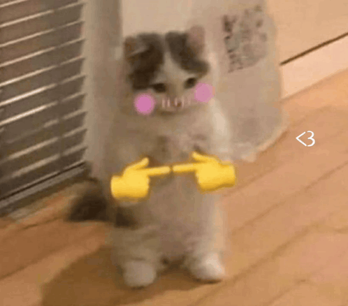 A fluffy kitten with pink cheeks holds up its paws shyly.
