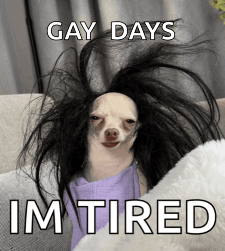 a picture of a dog with a wig on its head and the caption gay days im tired