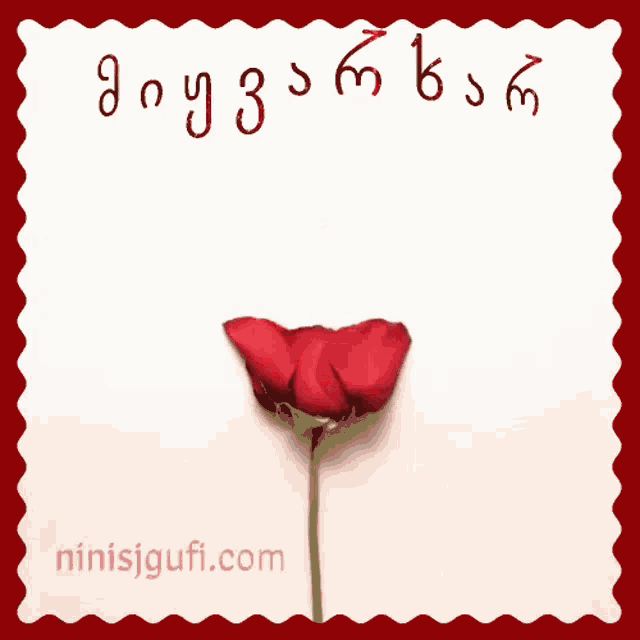 a heart made out of rose petals with the website ninisjgufi.com written below it