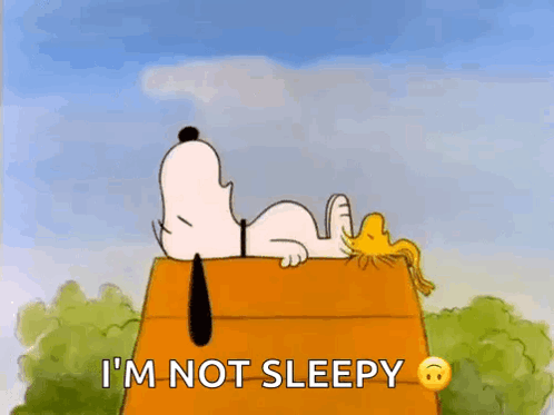 a cartoon of snoopy and woodstock laying on top of a wooden box .