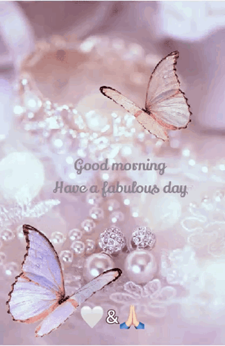 a good morning have a fabulous day message with butterflies and pearls