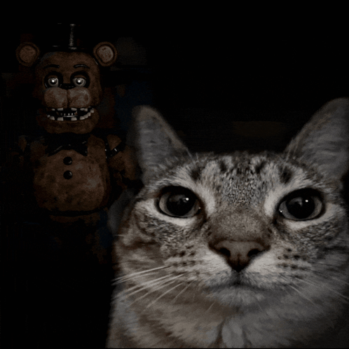 A wide-eyed cat sits before a dark Five Nights at Freddy’s character.
