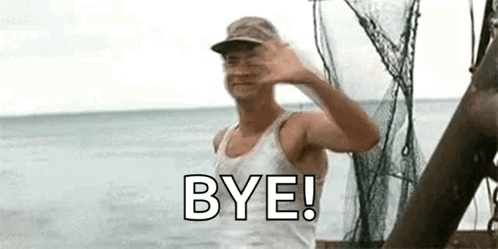 A man waves from beside water with the large caption “BYE!”.