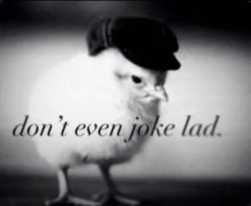 a black and white photo of a chicken wearing a hat with the words " don 't even joke lad " written below it