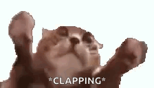 A fluffy cat claps its paws with “*CLAPPING*.”