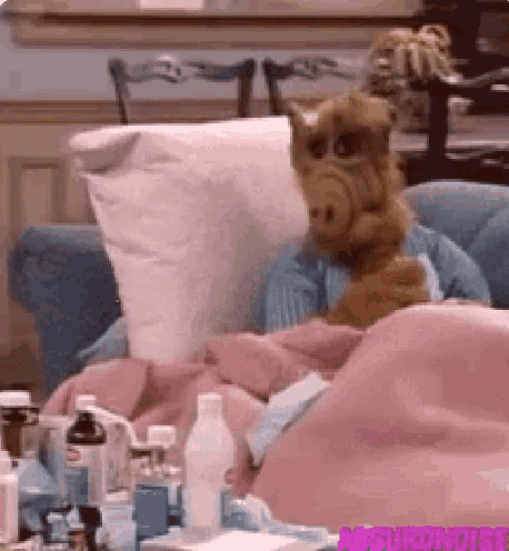 a stuffed animal is laying on a couch with a pink blanket and a pillow .