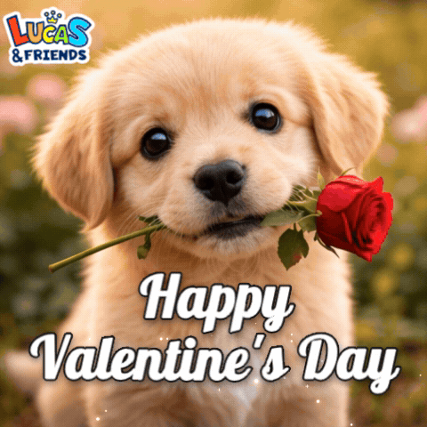 a puppy is holding a red rose in its mouth with the words happy valentine 's day below it