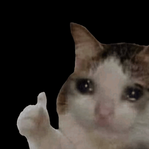 A small crying cat image on black raises a thumbs-up paw.