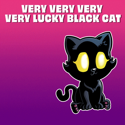 a very very very lucky black cat on a purple background