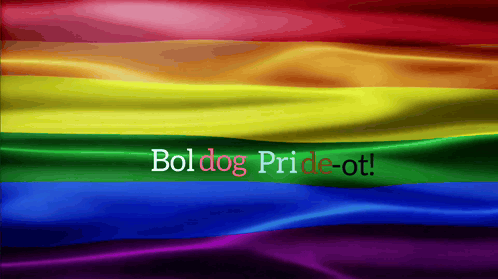 a rainbow flag that says boldog pride-ot