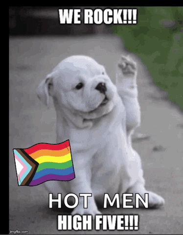 a white puppy with a rainbow flag and the words we rock hot men high five written on it