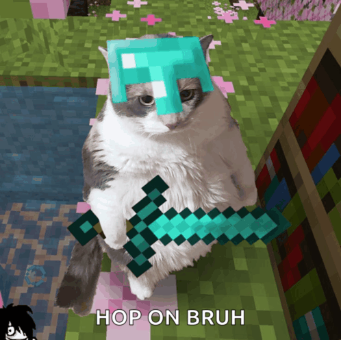 a cat wearing a diamond helmet and holding a diamond sword with the caption hop on bruh