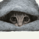 A wide-eyed cat peeks out from beneath a blanket.