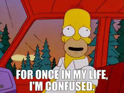 Homer Simpson drives with the caption “FOR ONCE IN MY LIFE, I'M CONFUSED.”