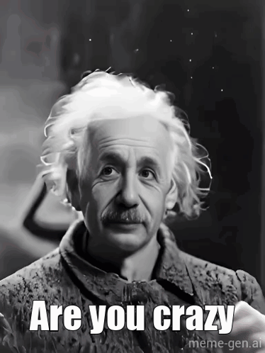 A black-and-white portrait of Albert Einstein is captioned “Are you crazy.”