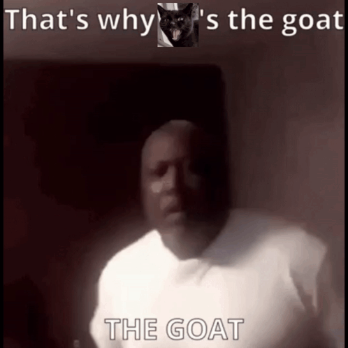 a man says that 's why 's the goat the goat in front of a black cat