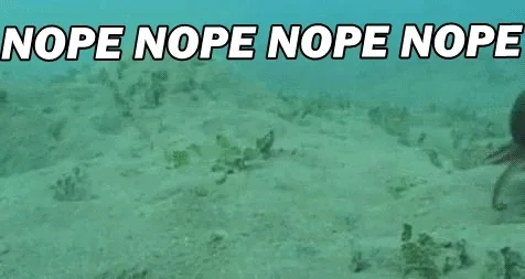 A small crab retreats underwater beneath the caption “NOPE NOPE NOPE NOPE.”