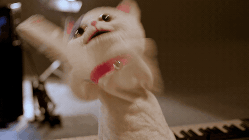 a white cat with a pink collar is standing on a keyboard