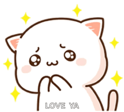 A Peach and Goma white cat clasps its paws with sparkling pleading eyes.