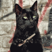 A black cat holds a nail file with an unimpressed stare.