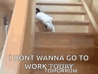 A cat struggles to climb stairs as the caption says “I DON’T WANNA GO TO WORK TODAY.”