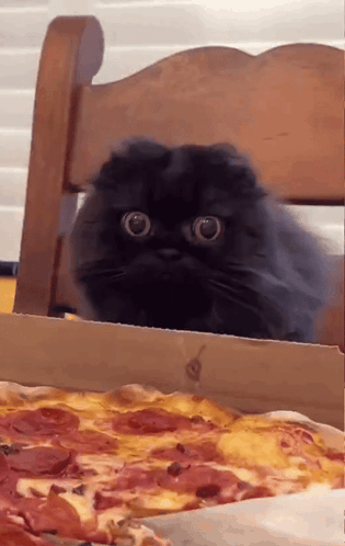 A black cat stares wide-eyed at a slice of pizza on the table.