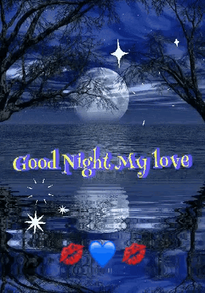 A moonlit snowy woodland scene reads “Good Night My Love.”