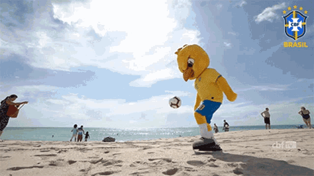 a mascot is kicking a soccer ball on the beach with the word brasil on the bottom