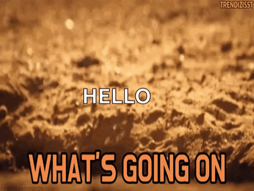 A small dog appears in a car window beside “What's up.”
