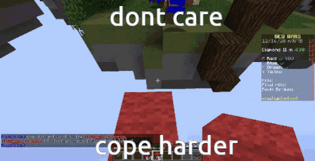 a screenshot of a minecraft game that says dont care