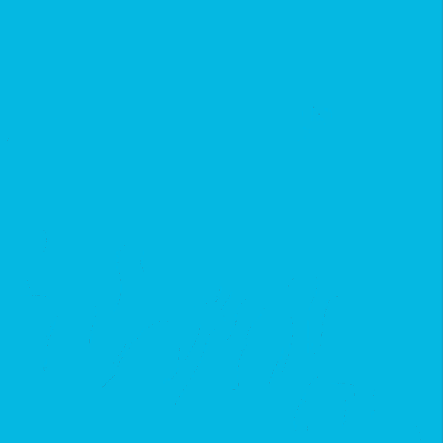 Democracy Wins Blue GIF