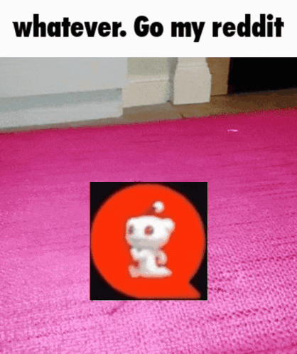 a picture of a reddit logo on a pink rug with the caption " whatever go my reddit "
