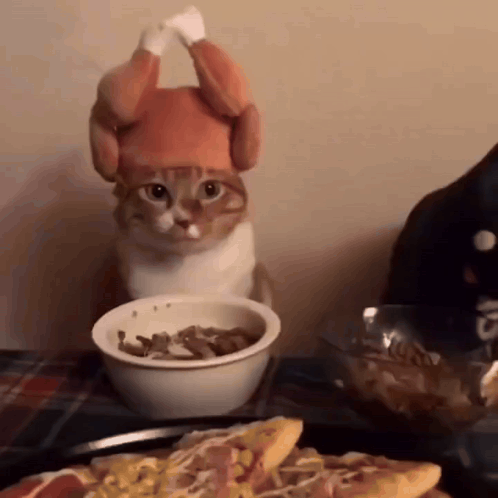a cat wearing a turkey hat is sitting in front of a bowl of food