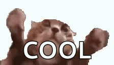 A blurry cat raises both paws under the caption “COOL.”