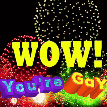 a fireworks display with the words wow you 're gay in the foreground