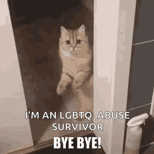Gay Non Profits Gay Native American GIF