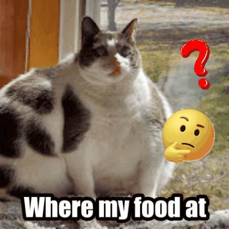 A cat looks toward a question mark beside the caption “Where my food at.”