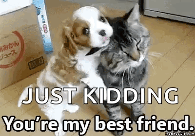 a puppy and a cat are hugging each other on the floor .