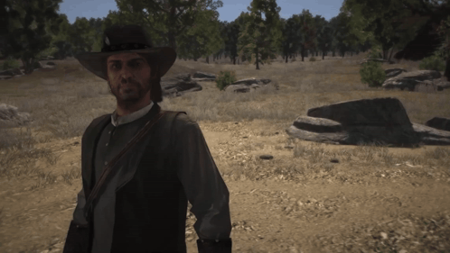a man wearing a cowboy hat stands in a field