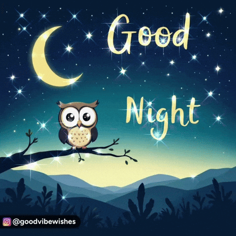 An owl perches on a branch under a crescent moon and glowing “Good Night.”