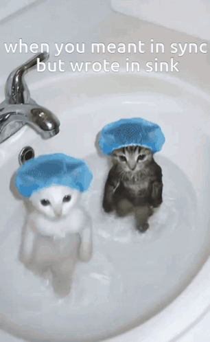 Two cats sit in a sink beneath the caption “when you meant in sync but wrote in sink.”