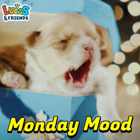 a picture of a puppy yawning with the words monday mood above it
