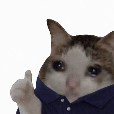 a crying cat wearing a blue shirt is giving a thumbs up .