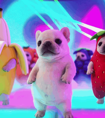 A French bulldog dances amid colorful rave lights.