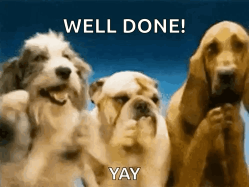 Three dogs appear beneath “WELL DONE! YAY.”