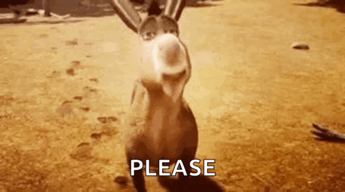 Donkey from Shrek smiles in a dusty outdoor scene under “PLEASE.”