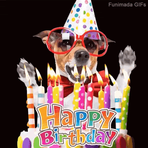 a dog wearing a party hat , sunglasses , and a bow tie is blowing out candles on a birthday cake .
