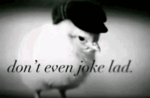 a black and white photo of a bird wearing a hat with the words " do n't even joke lad " written below it
