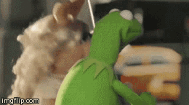 Kermit the Frog raises his hands in an exaggerated confused shrug.