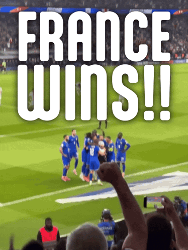 a group of soccer players are celebrating on the field and the caption says france wins